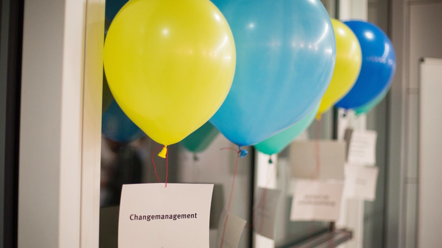 Luftballons_Steckbrief 1_(c) DKJS Claudia Bull-min